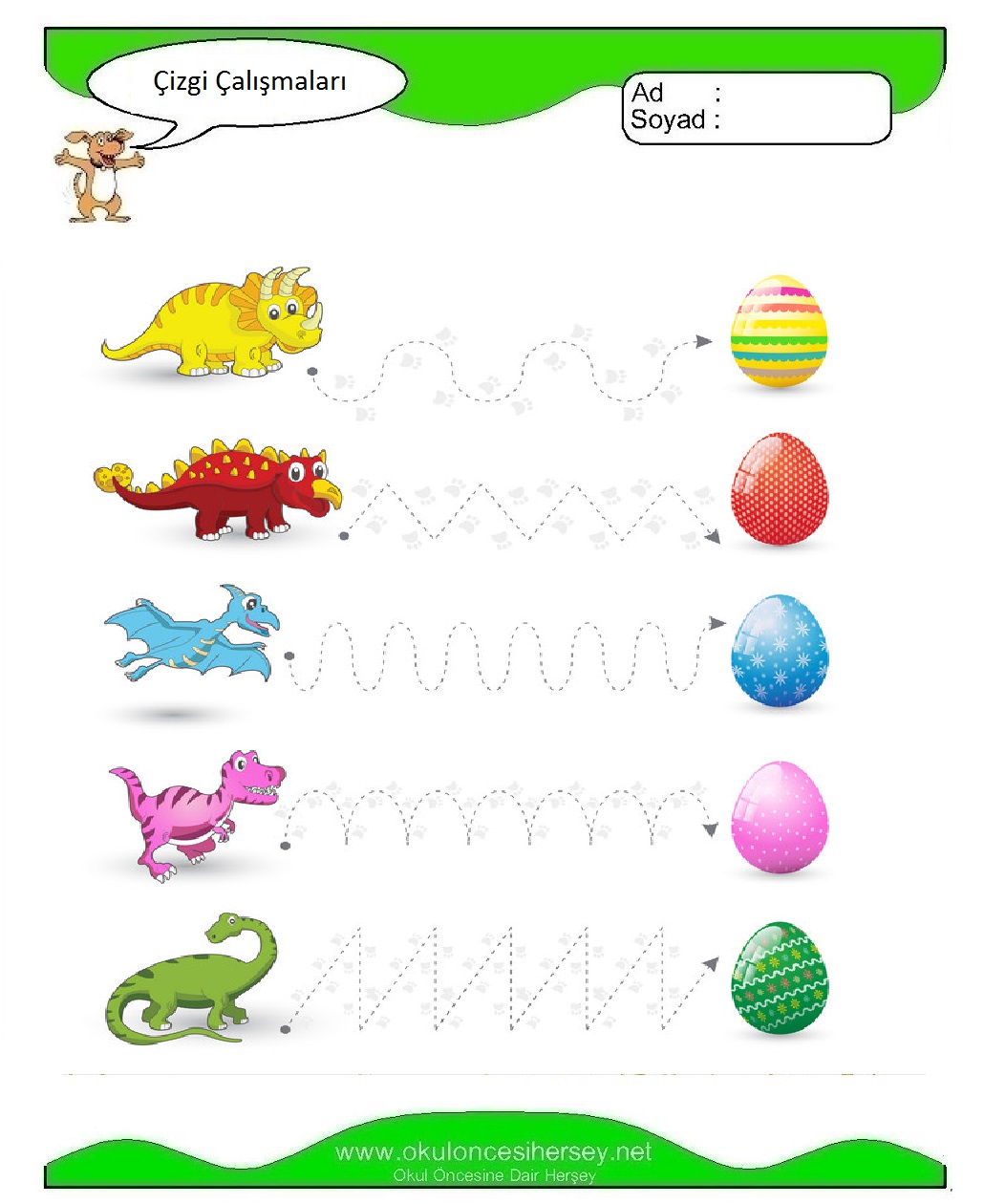 Çizgi Çalışmaları