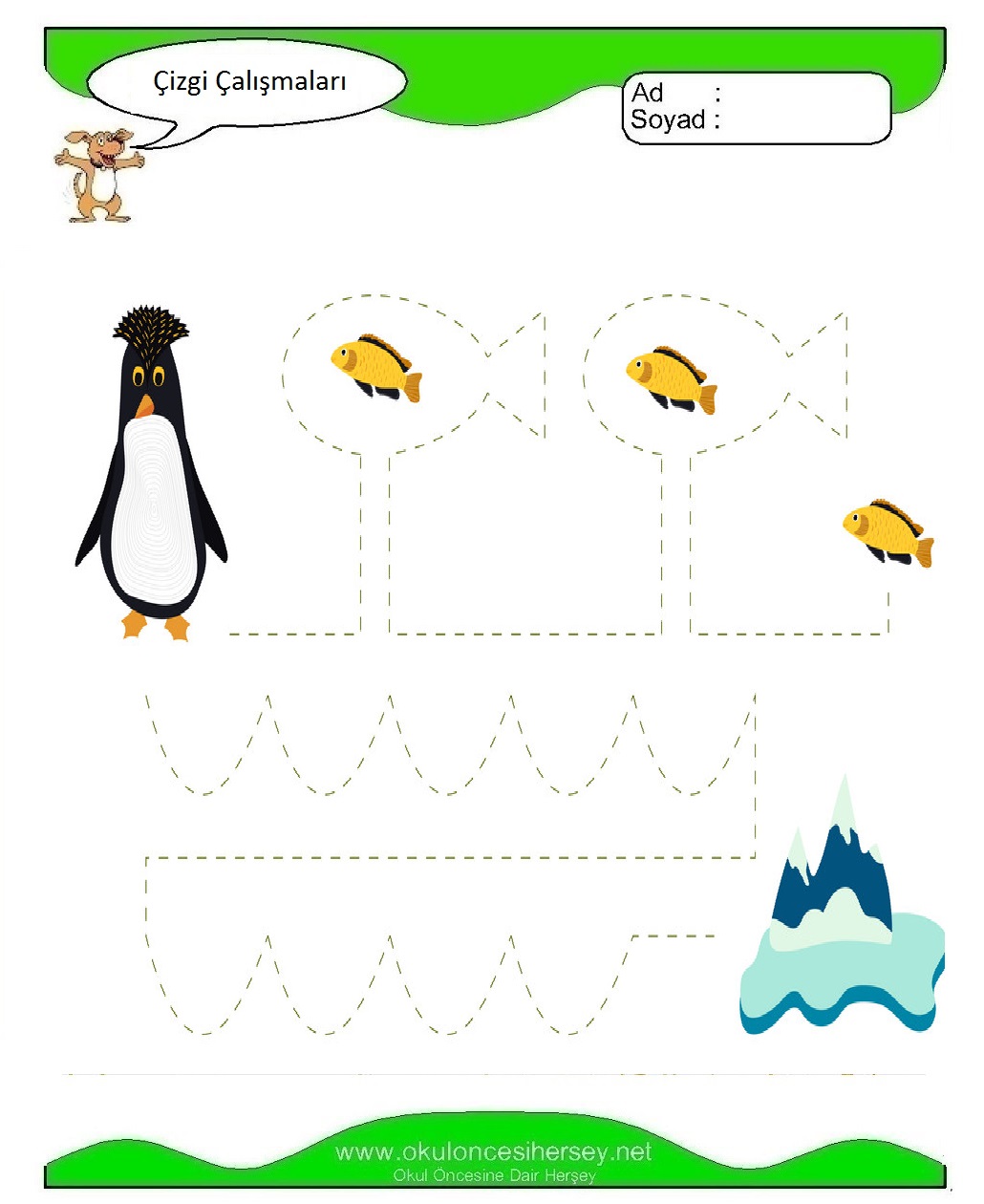 Çizgi Çalışmaları