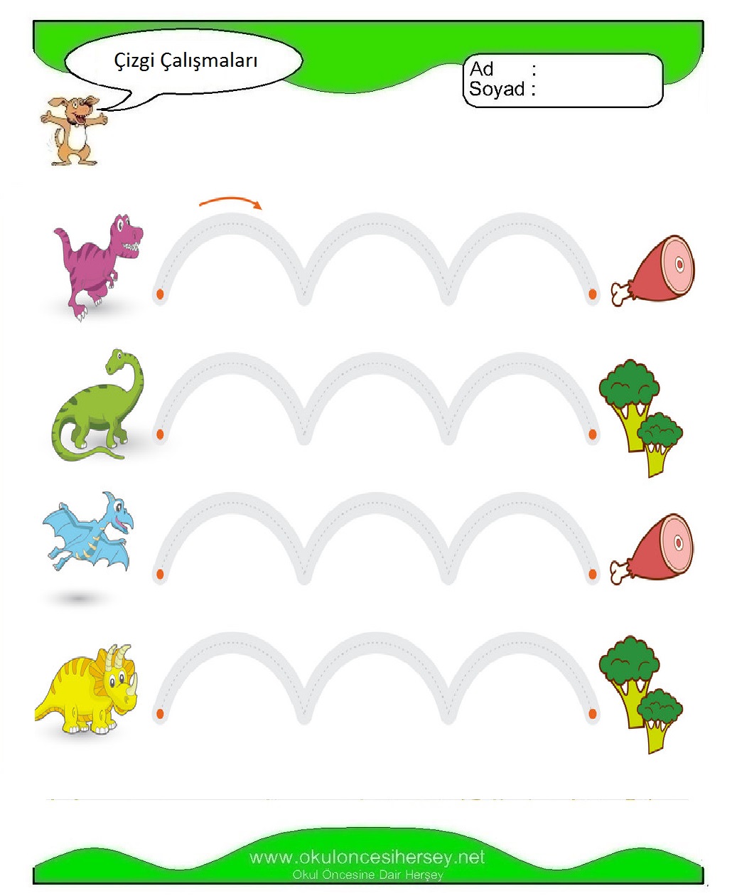 Çizgi Çalışmaları