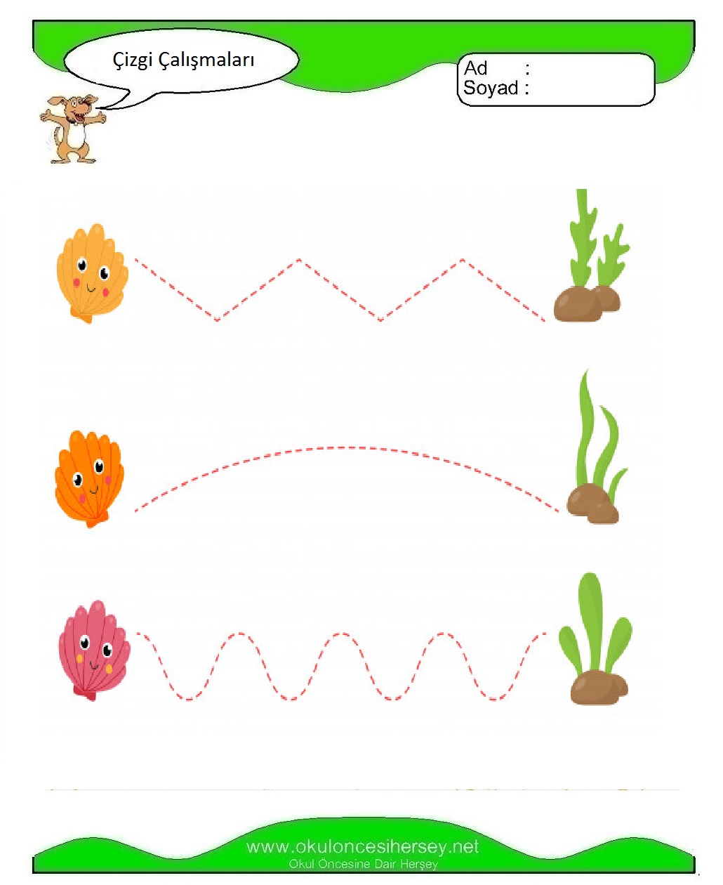 Çizgi Çalışmaları