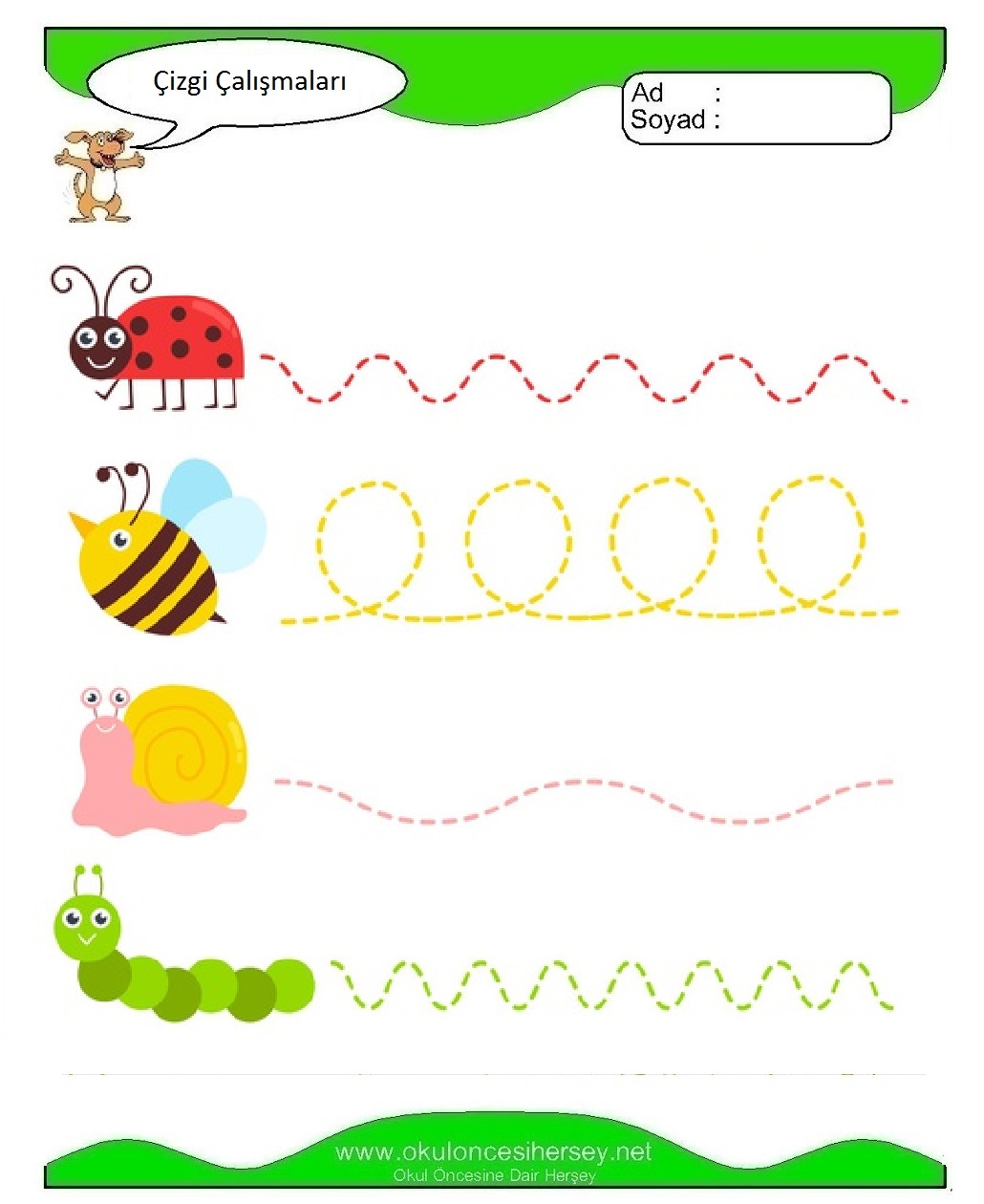 Çizgi Çalışmaları