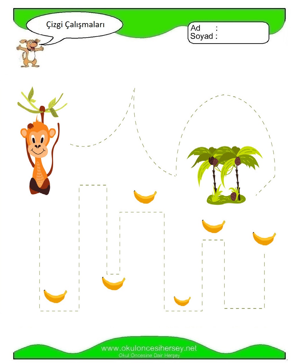 Çizgi Çalışmaları