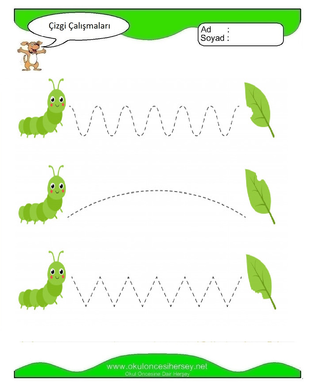 Çizgi Çalışmaları