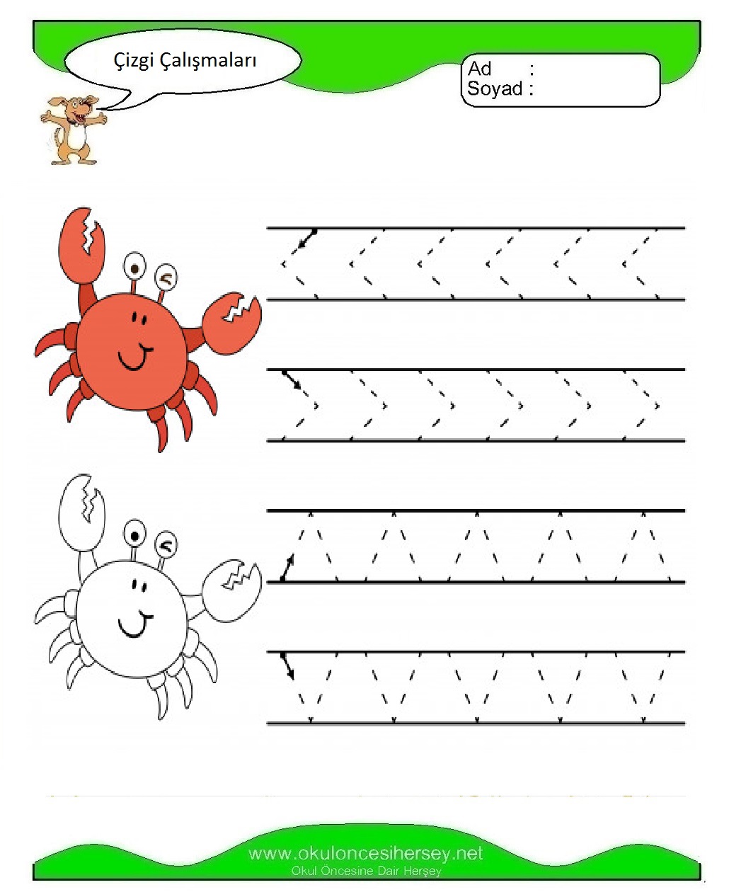 Çizgi Çalışmaları