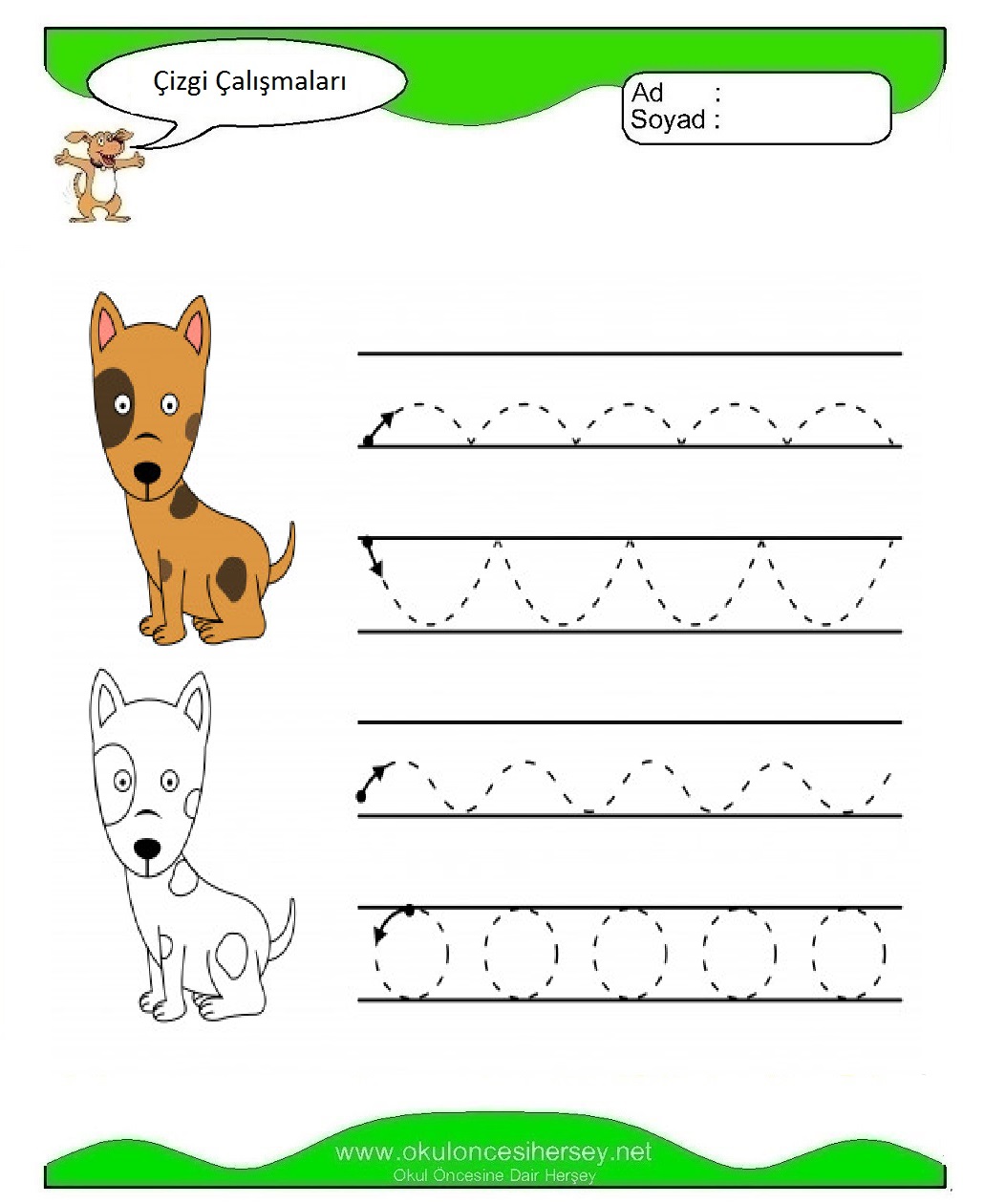 Çizgi Çalışmaları