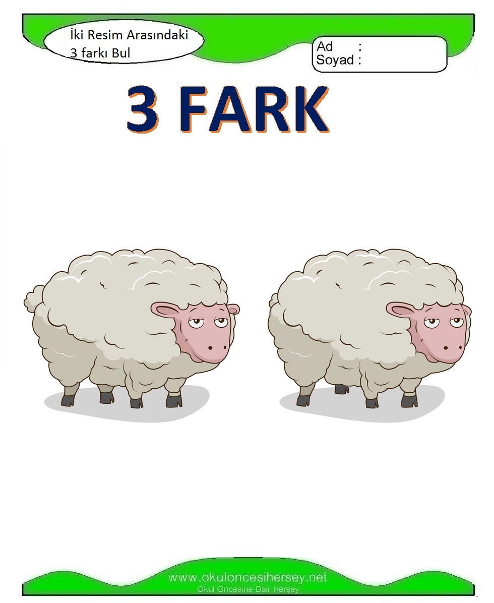 İki Resim Arasındaki 3 Farkı Bul