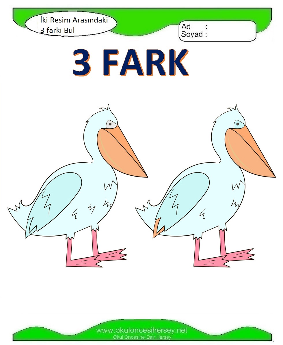 İki Resim Arasındaki 3 Farkı Bul