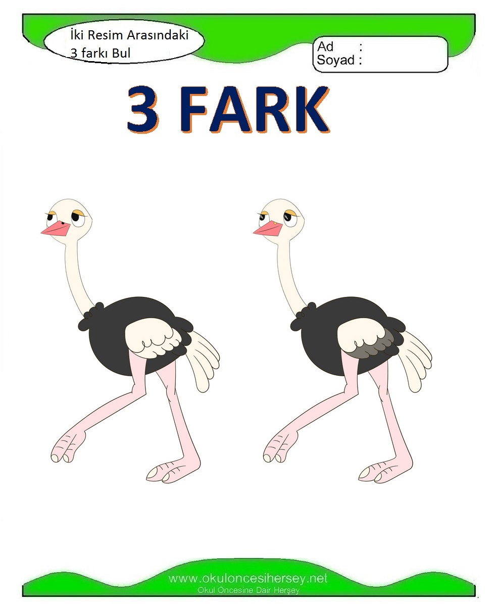 İki Resim Arasındaki 3 Farkı Bul