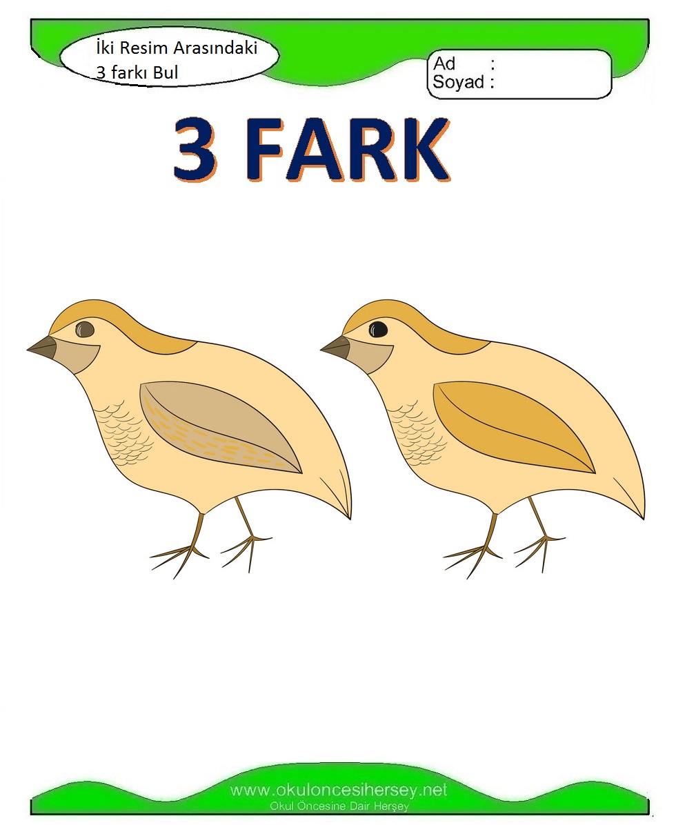 İki Resim Arasındaki 3 Farkı Bul