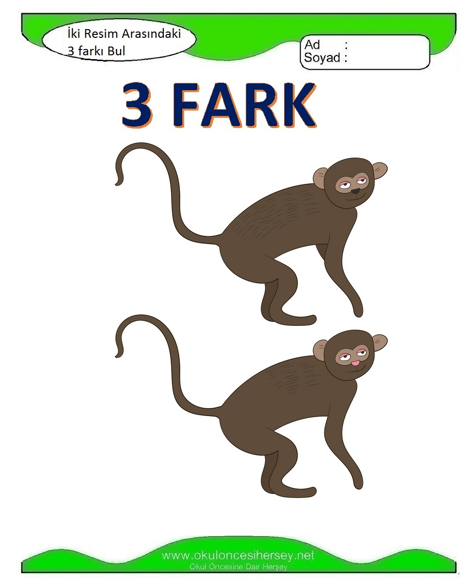 İki Resim Arasındaki 3 Farkı Bul