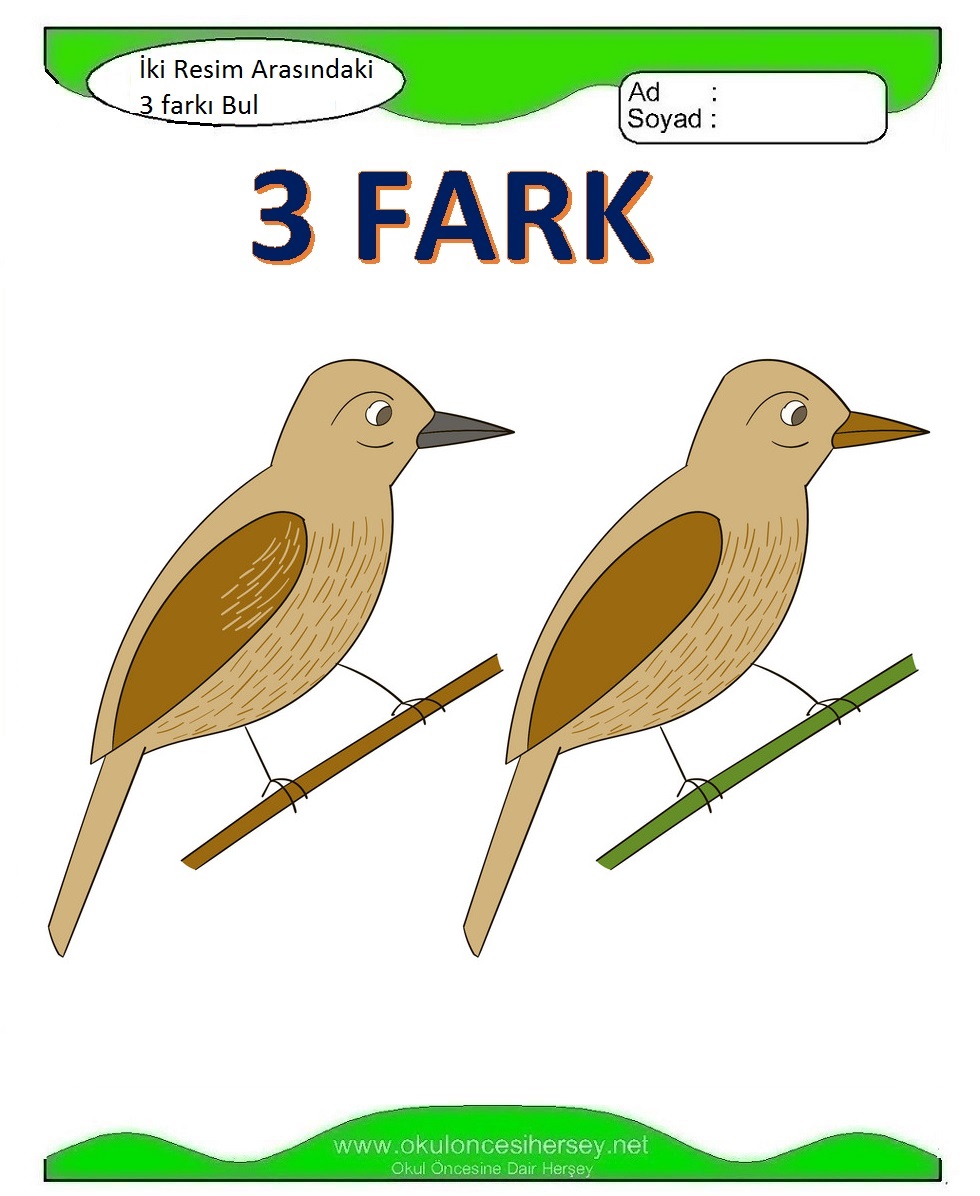 İki Resim Arasındaki 3 Farkı Bul