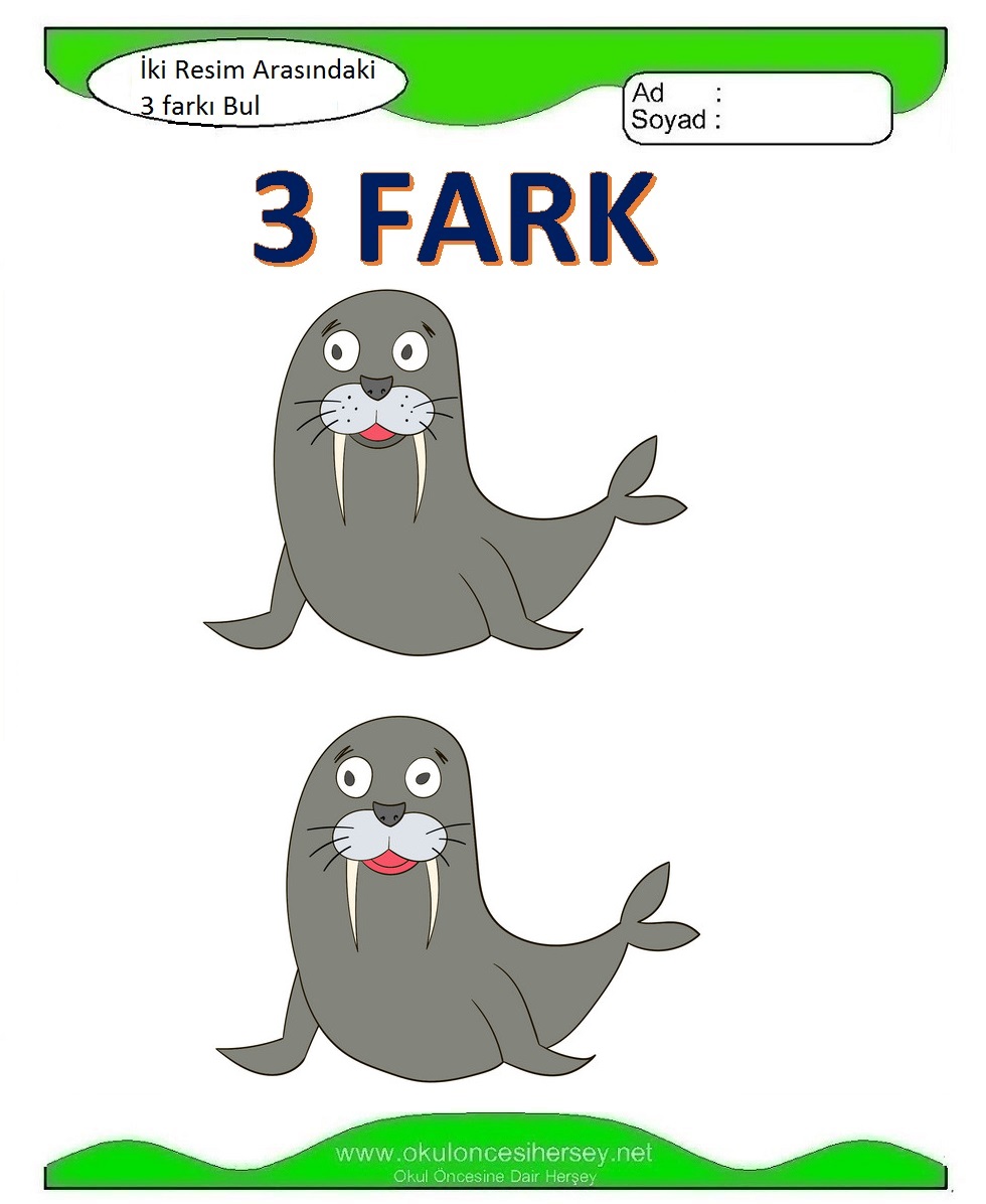 İki Resim Arasındaki 3 Farkı Bul