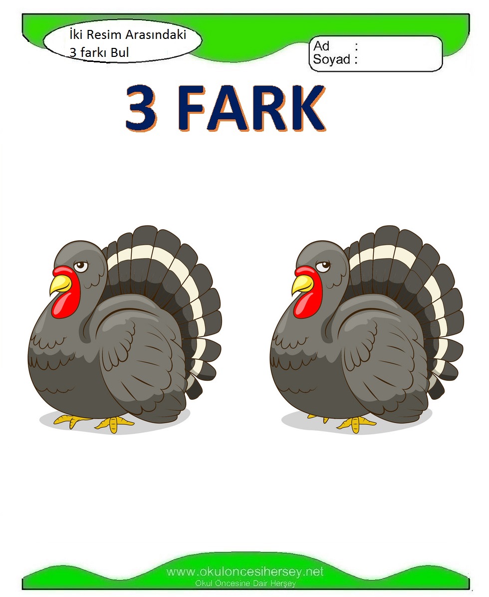 İki Resim Arasındaki 3 Farkı Bul