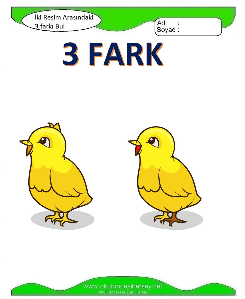 İki Resim Arasındaki 3 Farkı Bul