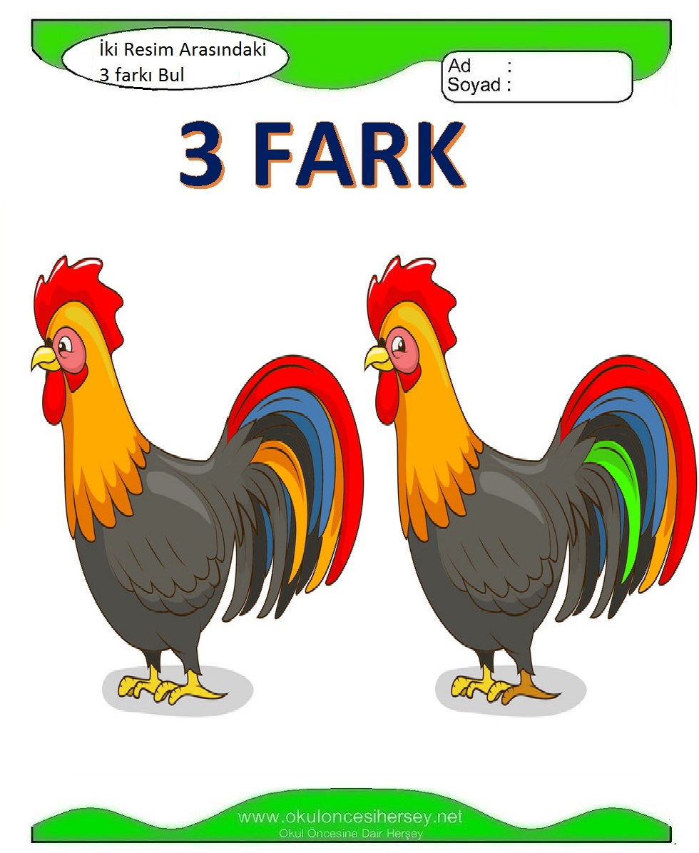 İki Resim Arasındaki 3 Farkı Bul