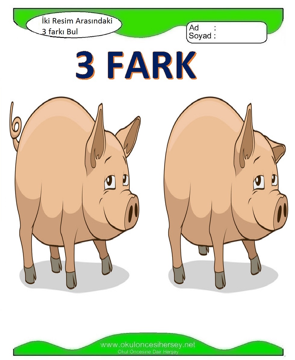 İki Resim Arasındaki 3 Farkı Bul