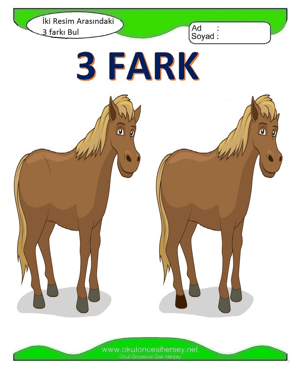 İki Resim Arasındaki 3 Farkı Bul