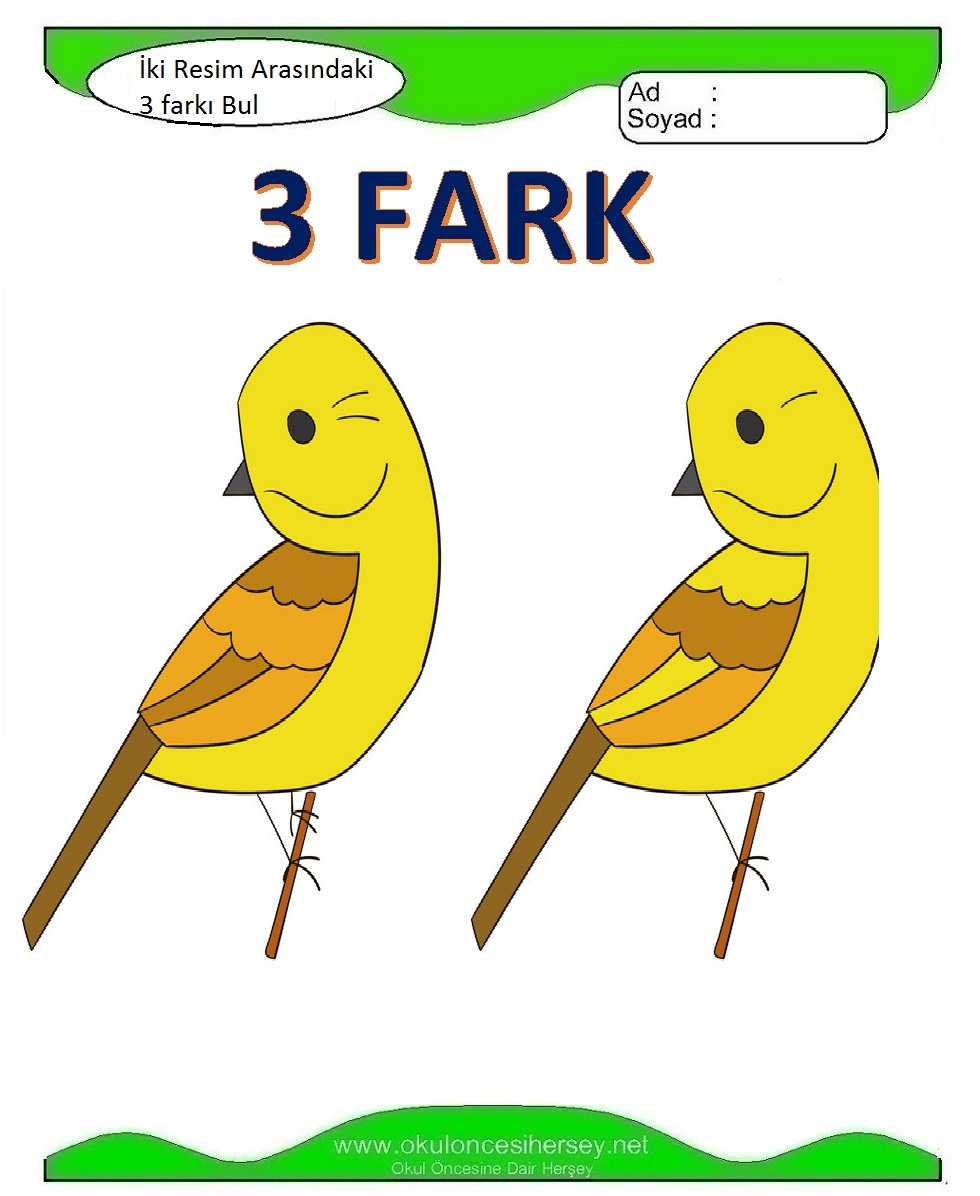 İki Resim Arasındaki 3 Farkı Bul