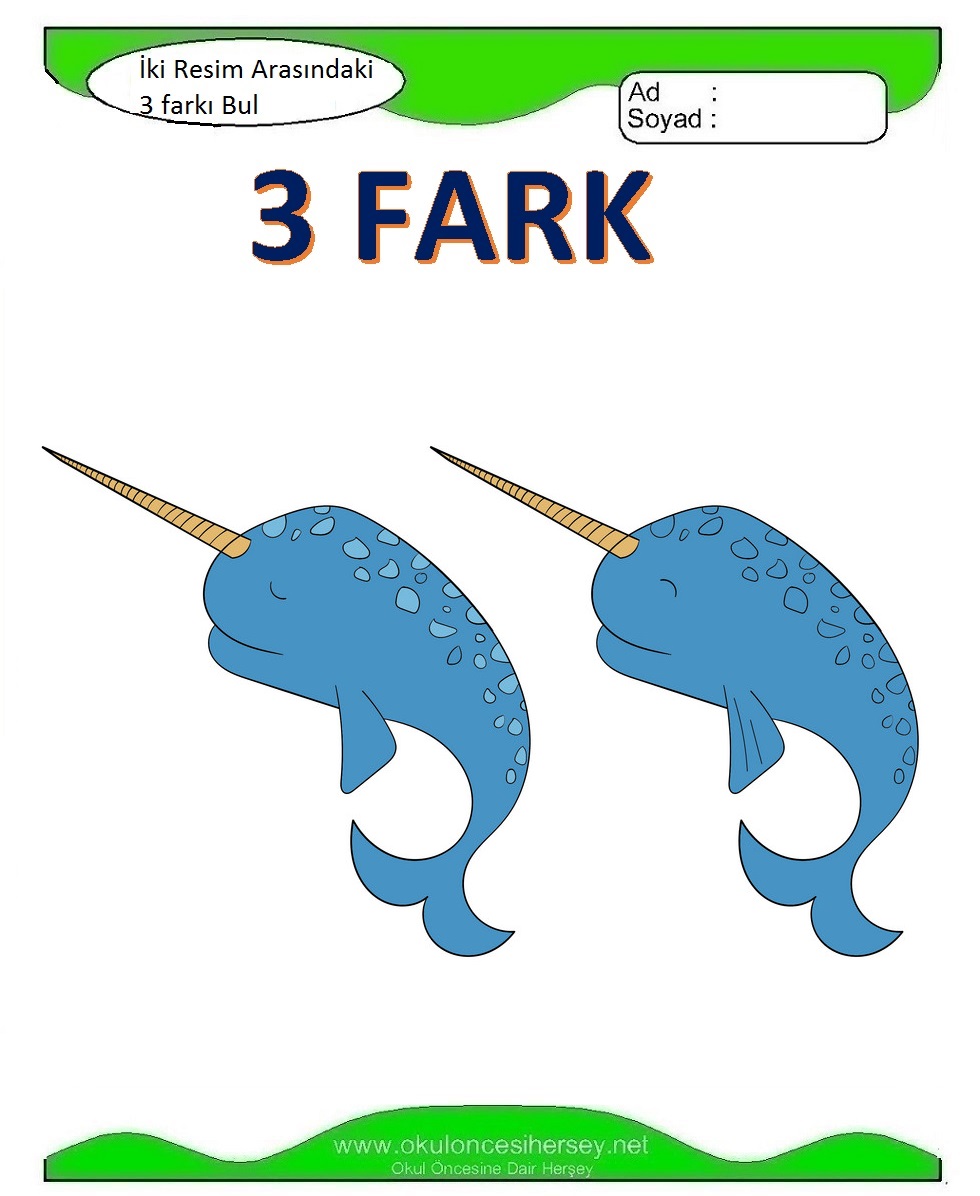 İki Resim Arasındaki 3 Farkı Bul