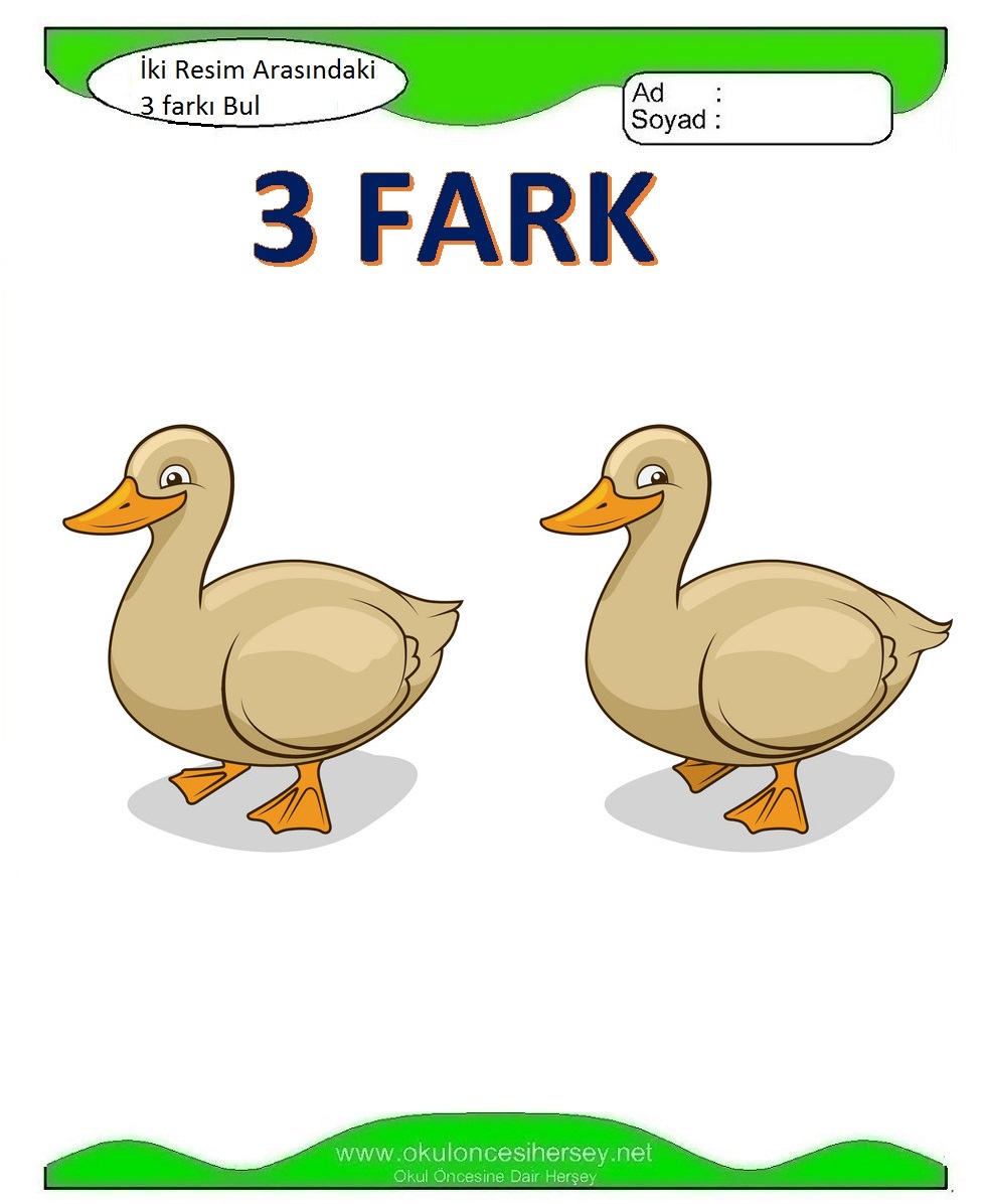 İki Resim Arasındaki 3 Farkı Bul