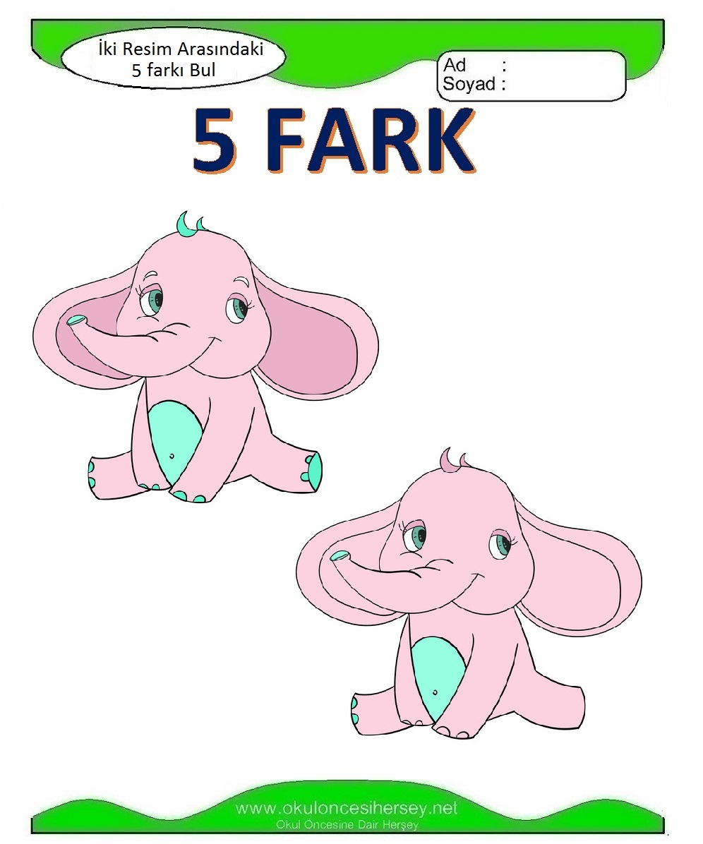 İki Resim Arasındaki 5 Farkı Bul