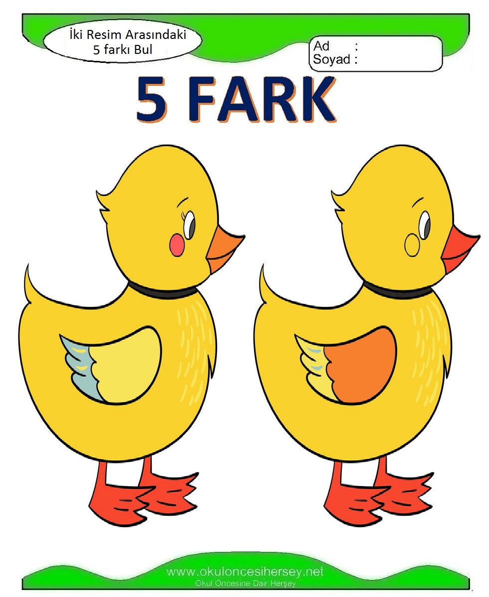 İki Resim Arasındaki 5 Farkı Bul