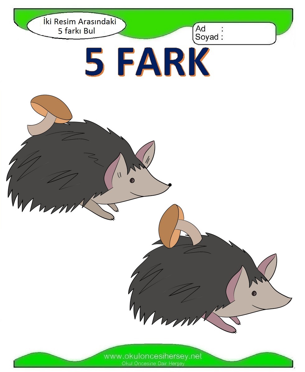 İki Resim Arasındaki 5 Farkı Bul