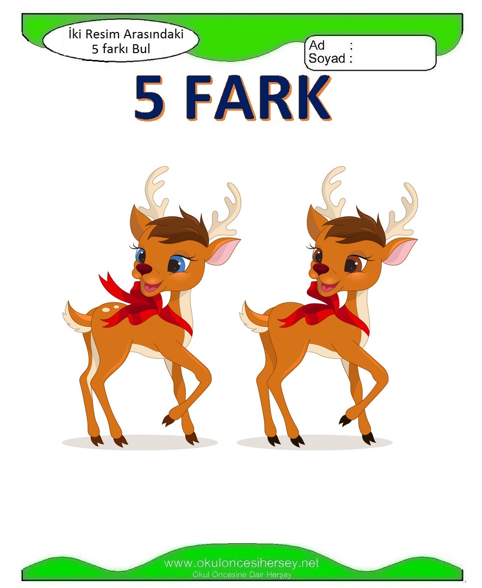 İki Resim Arasındaki 5 Farkı Bul