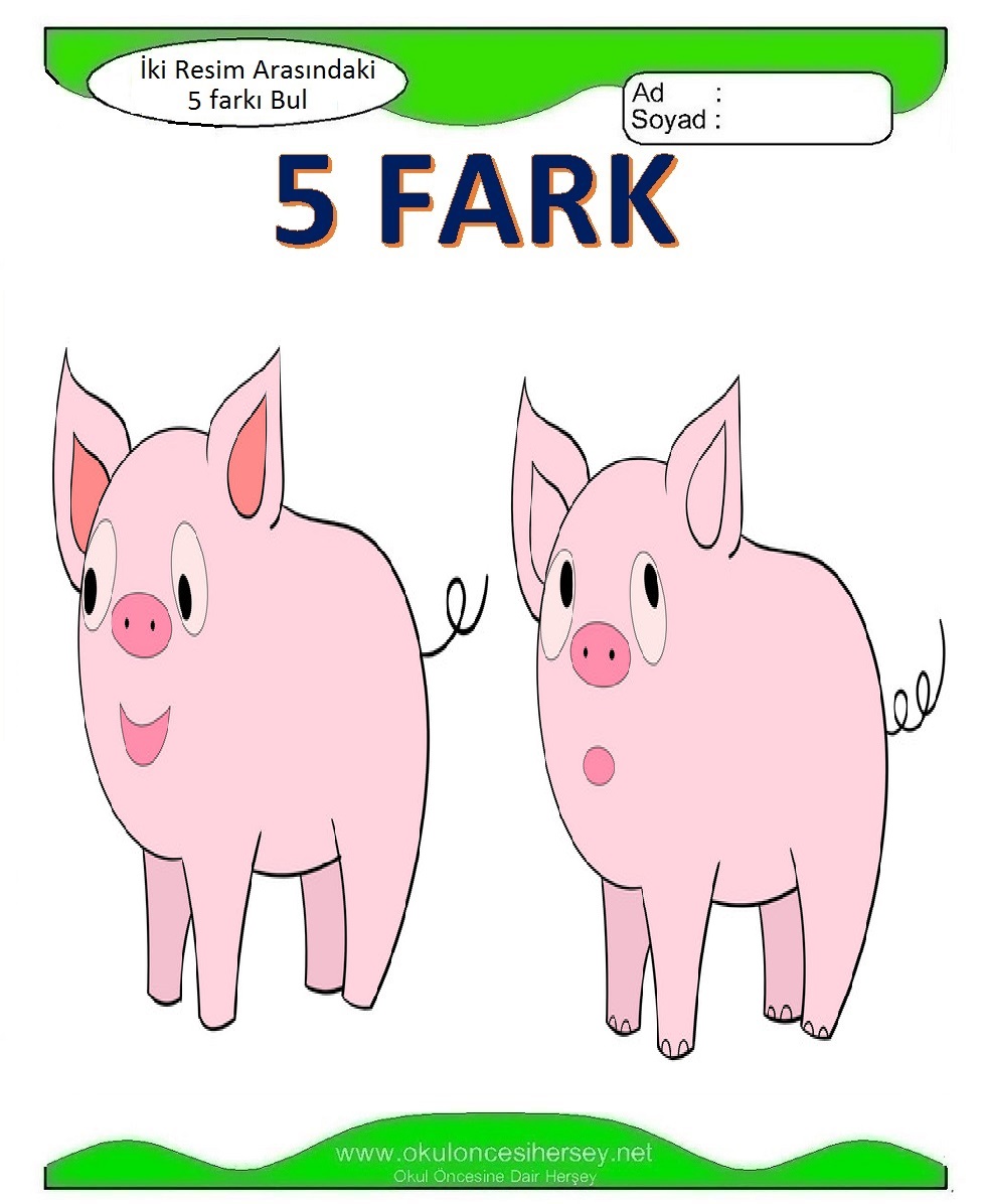 İki Resim Arasındaki 5 Farkı Bul