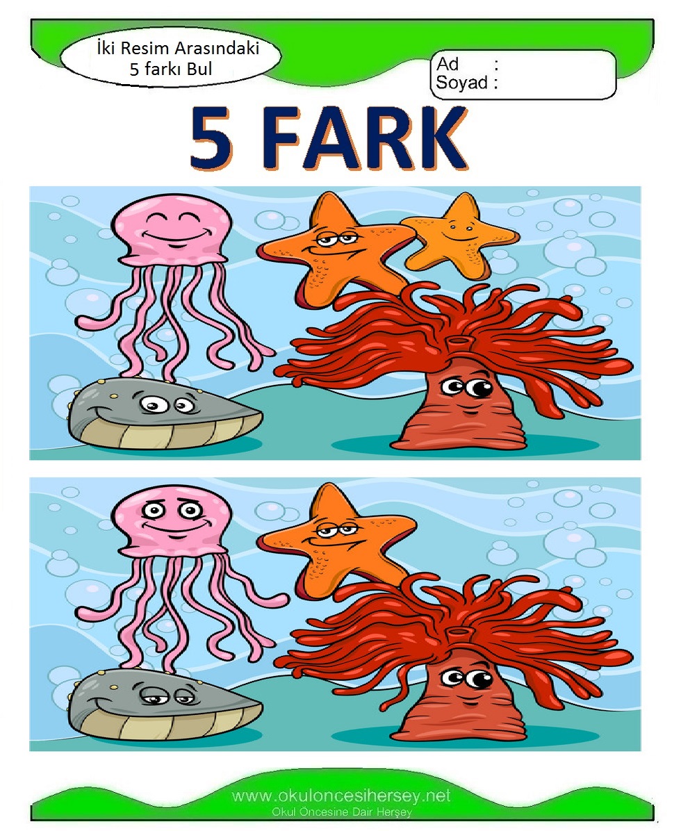 İki Resim Arasındaki 5 Farkı Bul