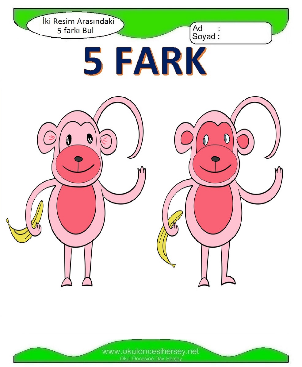 İki Resim Arasındaki 5 Farkı Bul