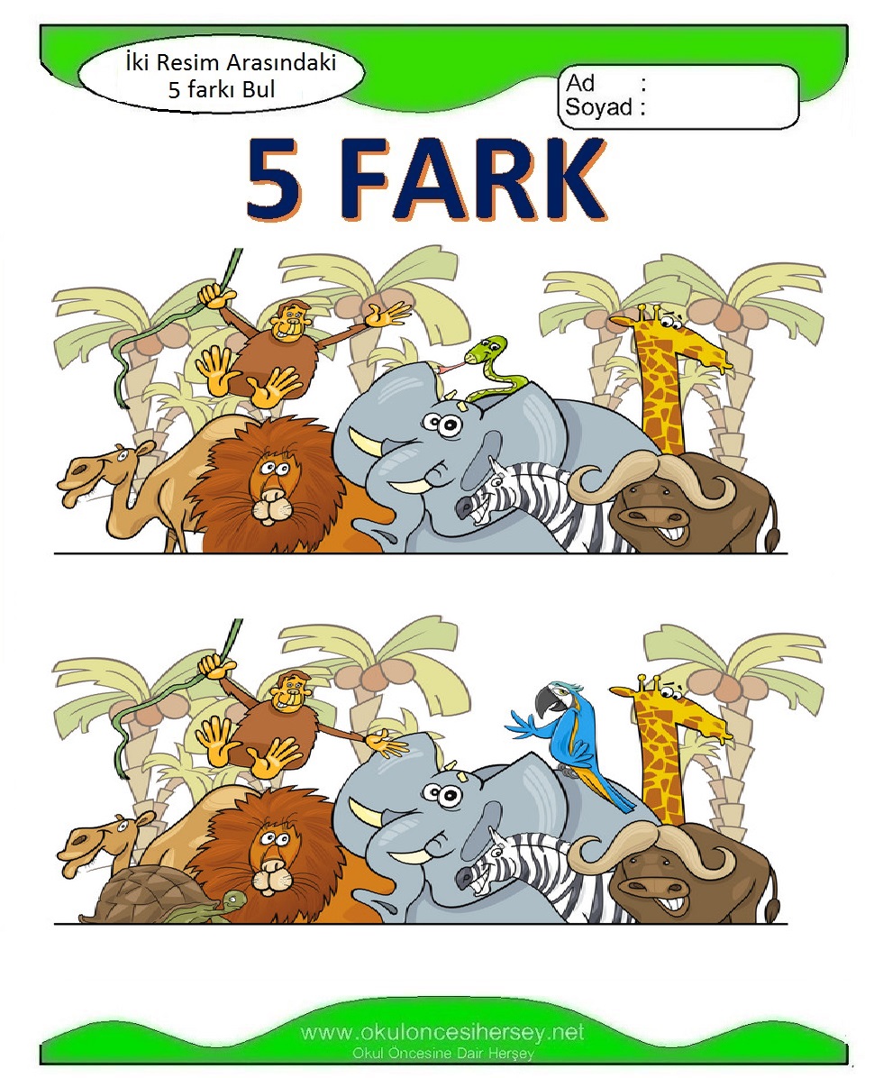 İki Resim Arasındaki 5 Farkı Bul