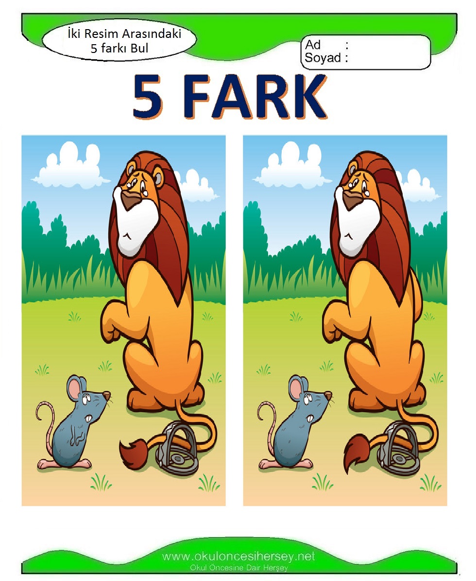 İki Resim Arasındaki 5 Farkı Bul