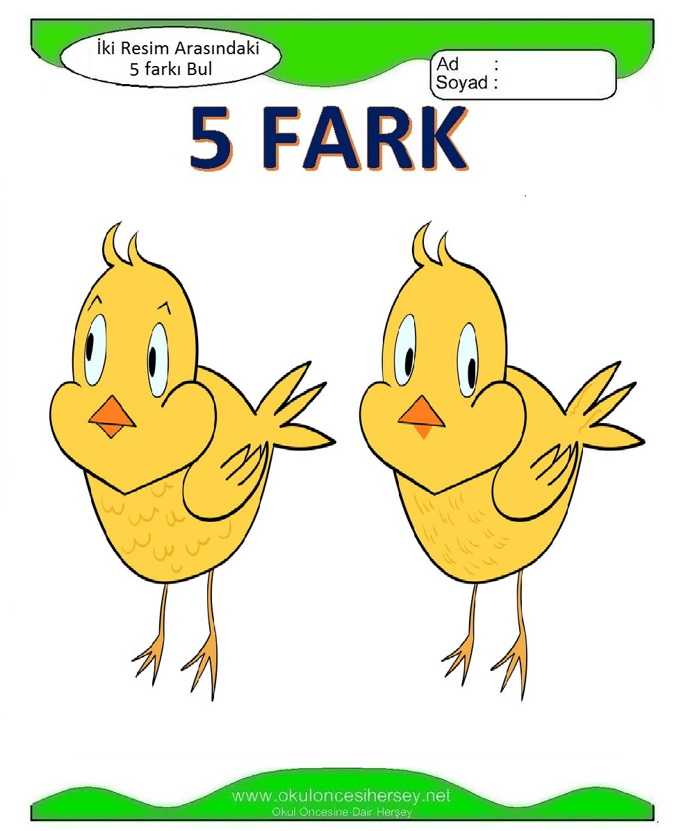 İki Resim Arasındaki 5 Farkı Bul