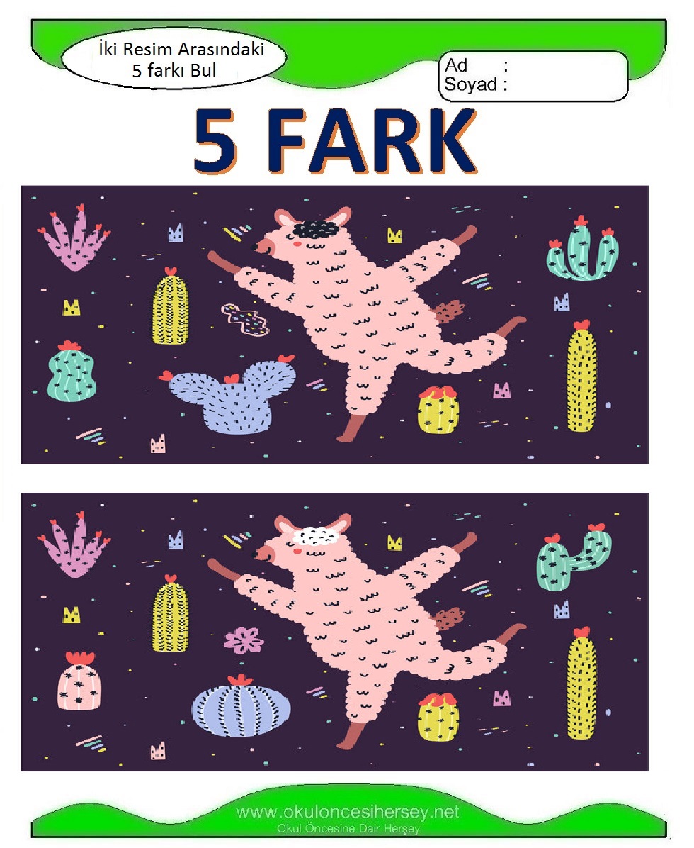 İki Resim Arasındaki 5 Farkı Bul