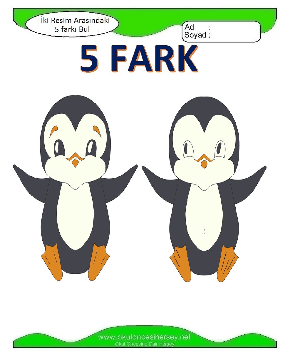 İki Resim Arasındaki 5 Farkı Bul