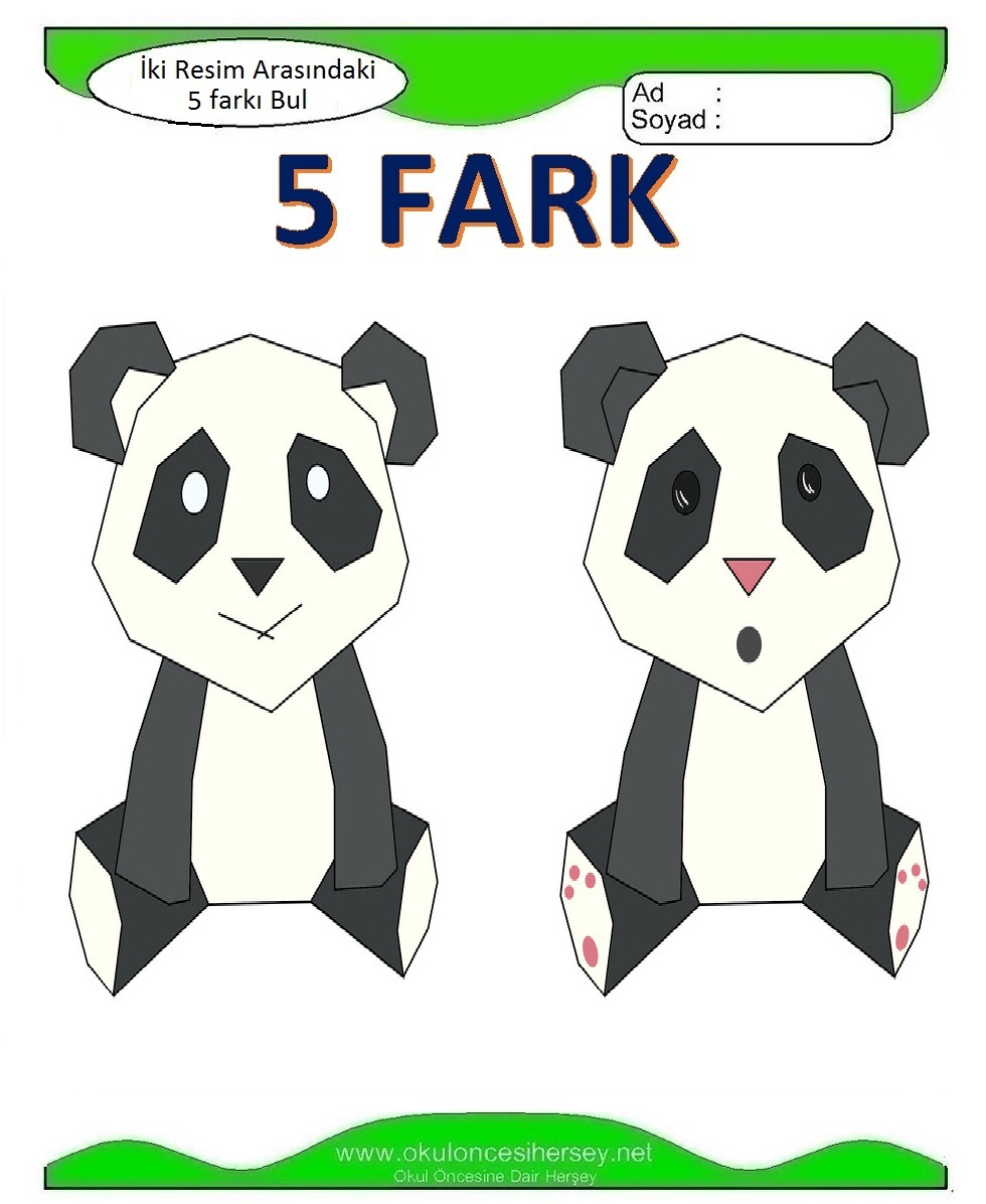 İki Resim Arasındaki 5 Farkı Bul