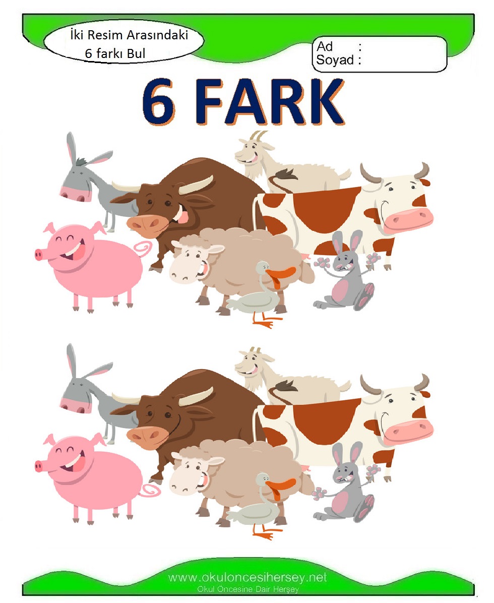 İki Resim Arasındaki Farkı Bul