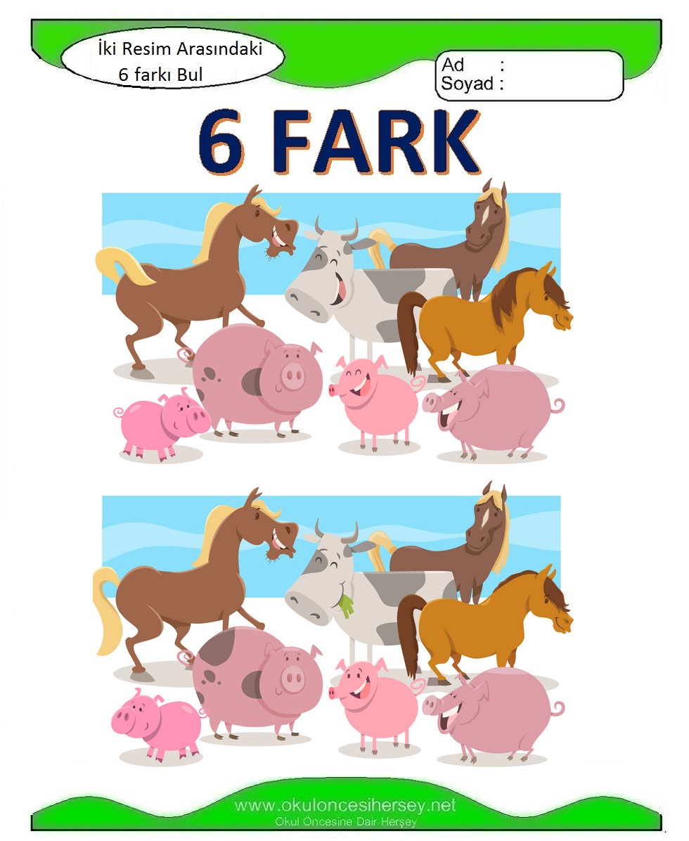 İki Resim Arasındaki 6 Farkı Bul