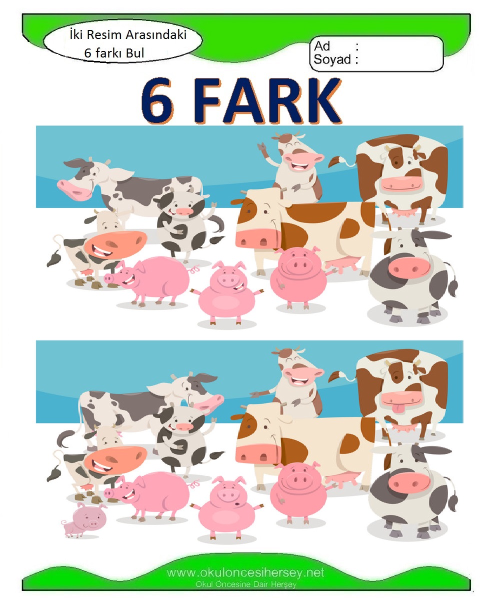 İki Resim Arasındaki Farkı Bul