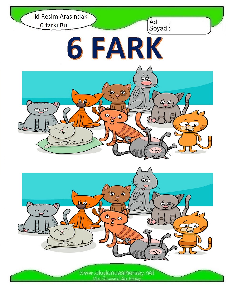 İki Resim Arasındaki 6 Farkı Bul