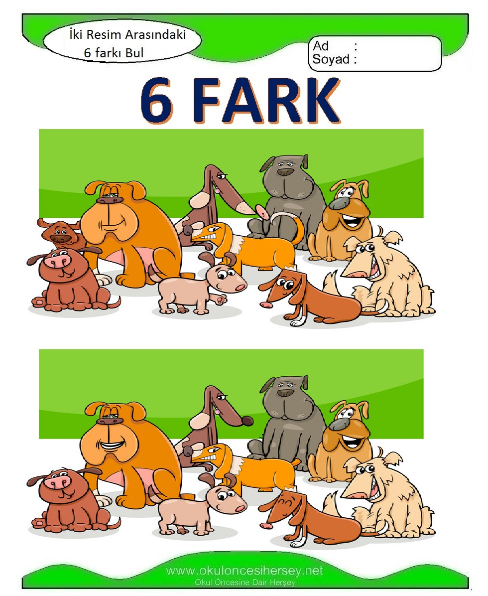 İki Resim Arasındaki 6 Farkı Bul