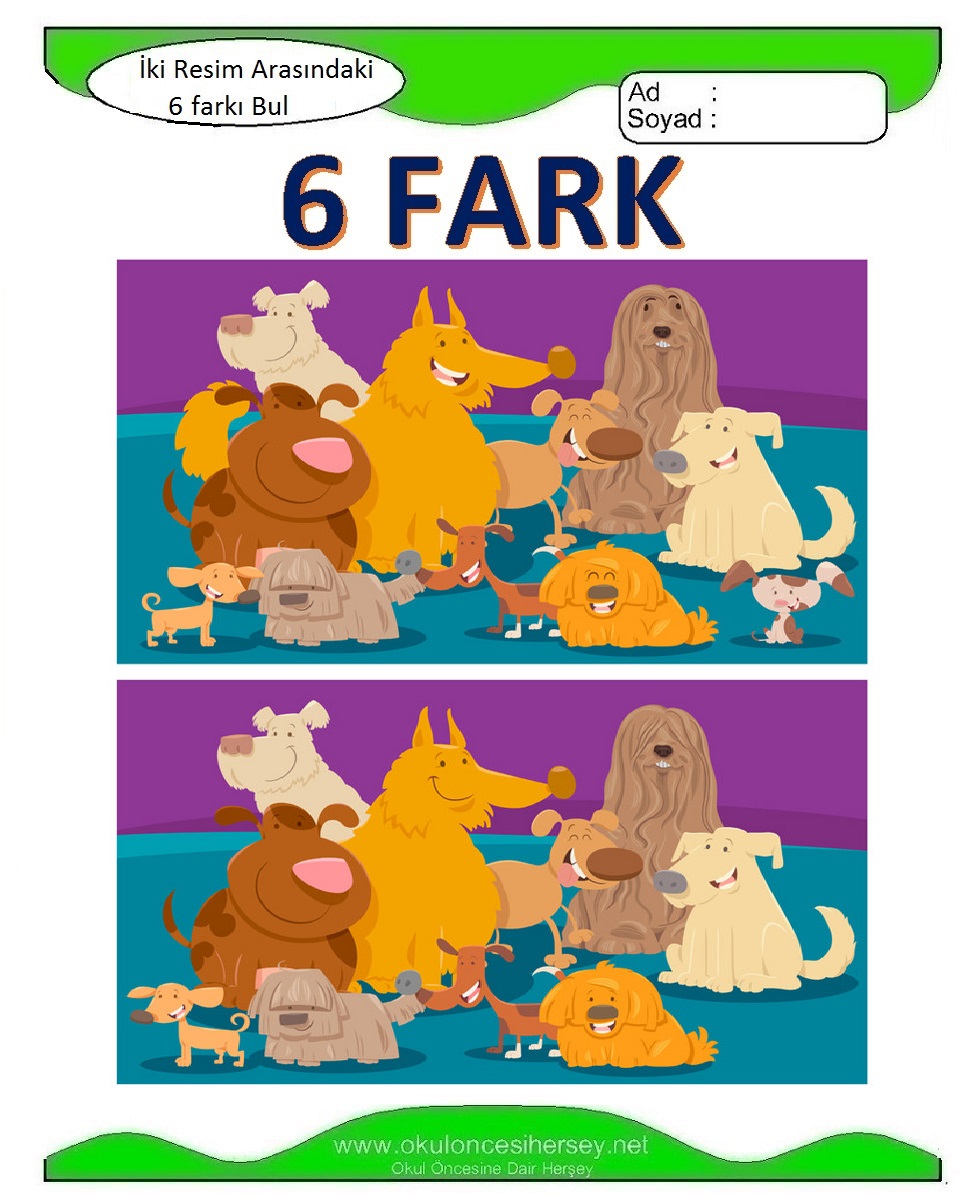 İki Resim Arasındaki 6 Farkı Bul