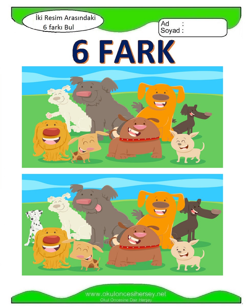 İki Resim Arasındaki 6 Farkı Bul