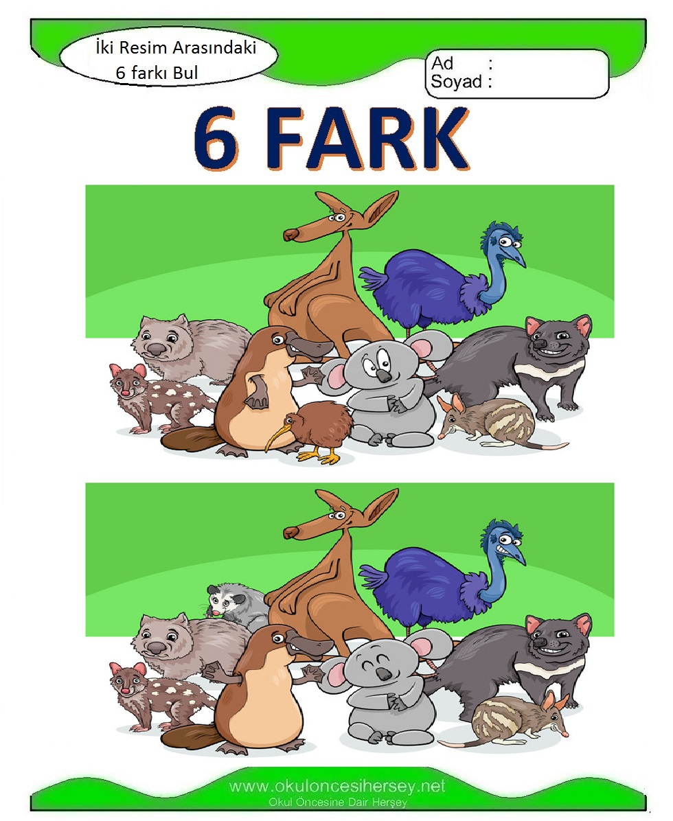 İki Resim Arasındaki 6 Farkı Bul