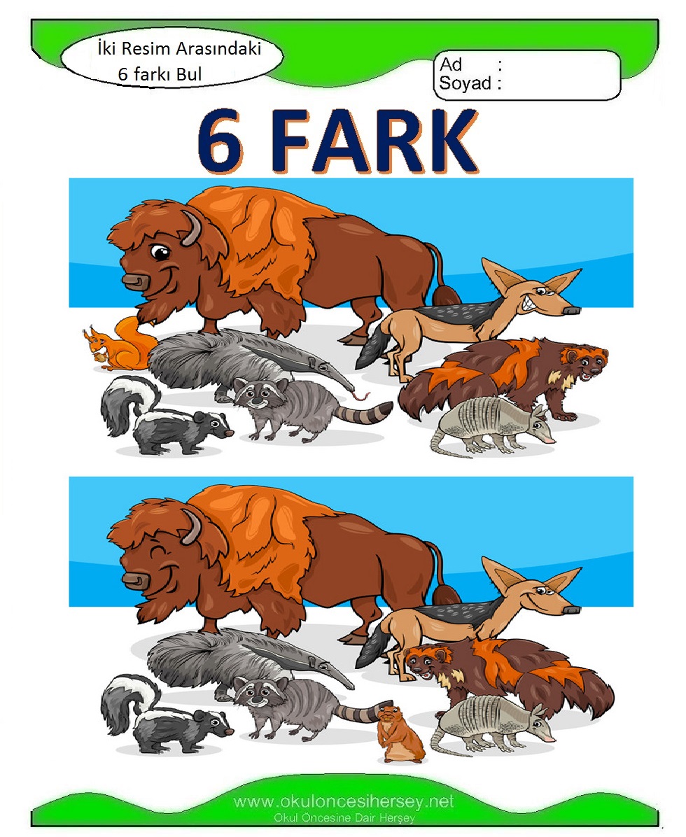 İki Resim Arasındaki 6 Farkı Bul