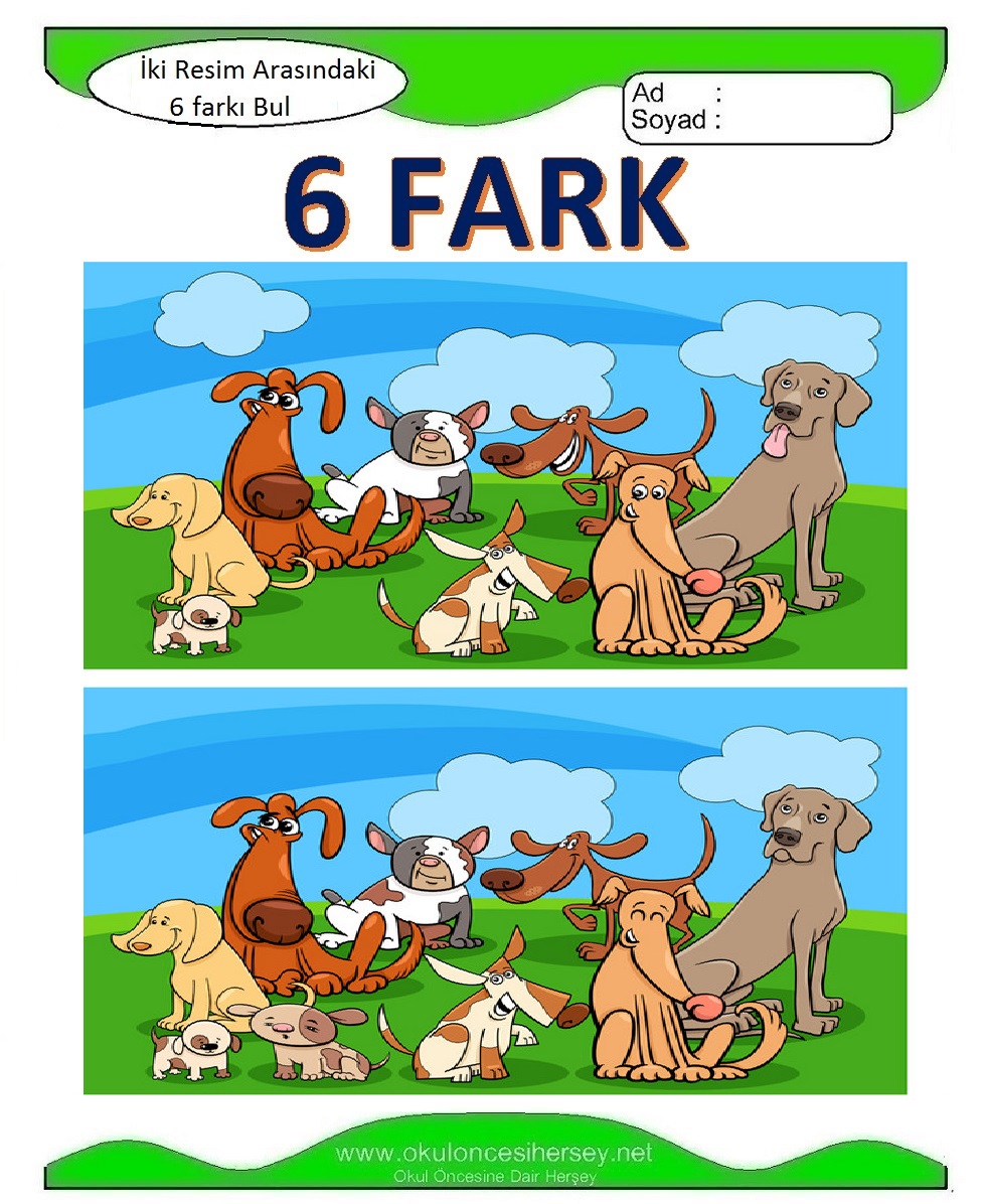 İki Resim Arasındaki 6 Farkı Bul