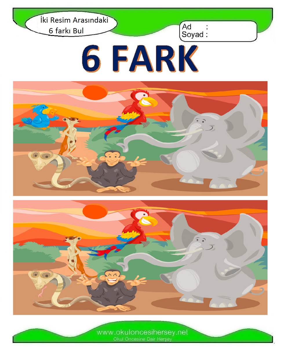 İki Resim Arasındaki 6 Farkı Bul