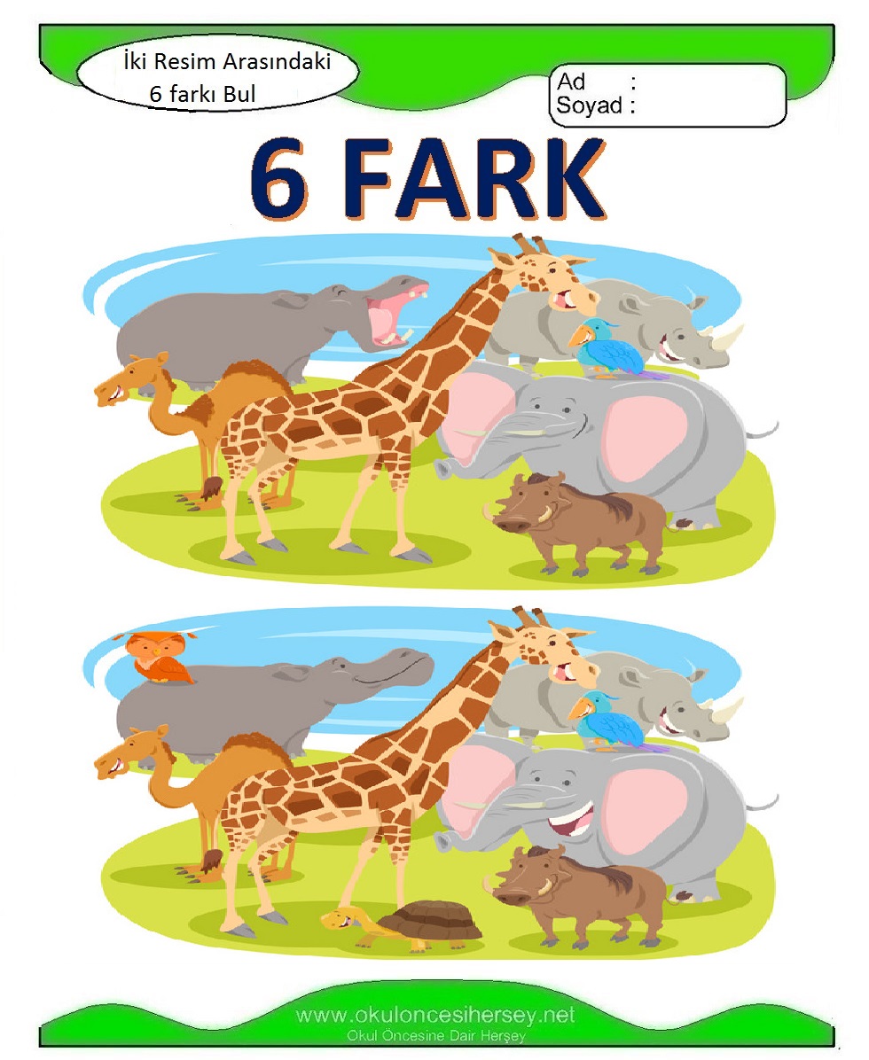 İki Resim Arasındaki 6 Farkı Bul