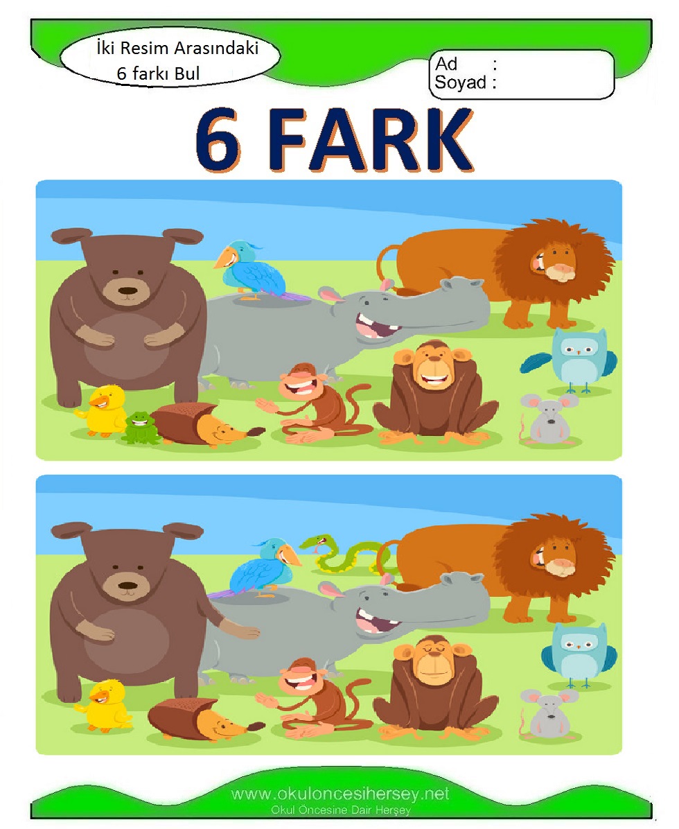 İki Resim Arasındaki 6 Farkı Bul